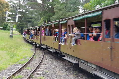 Day Tour Of Yarra Valley Puffing Billy And Rayners Orchard - Accommodation Burleigh 24