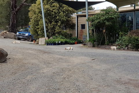 Day Tour Of Yarra Valley Puffing Billy And Rayners Orchard - Accommodation Burleigh 26