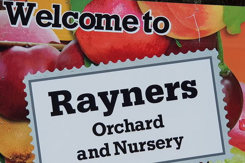 Day Tour Of Yarra Valley Puffing Billy And Rayners Orchard - Accommodation Burleigh 20