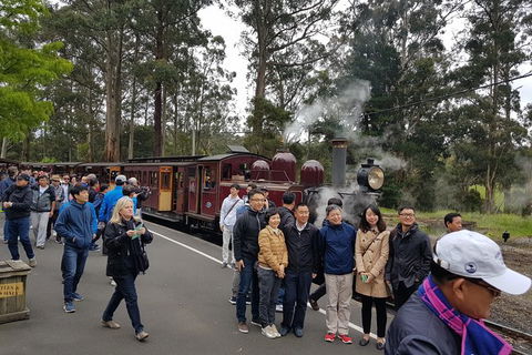 Day Tour Of Yarra Valley Puffing Billy And Rayners Orchard - Accommodation Burleigh 9
