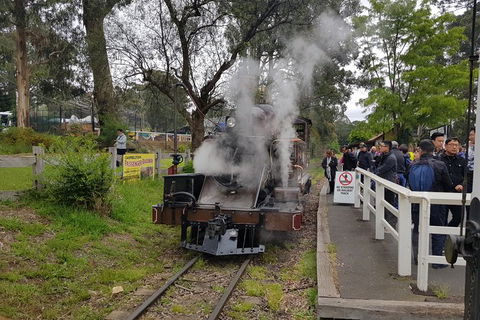 Day Tour Of Yarra Valley Puffing Billy And Rayners Orchard - Accommodation Burleigh 43