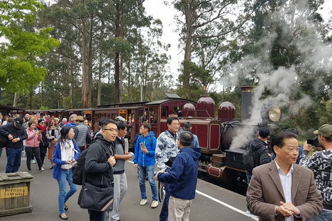 Day Tour Of Yarra Valley Puffing Billy And Rayners Orchard - Accommodation Burleigh 12