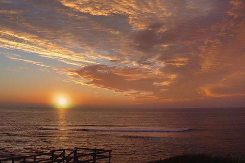 Half Day Wine & Food Tour - Accommodation Burleigh 1