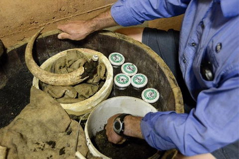 Half Day Wine & Food Tour - Accommodation Burleigh 5