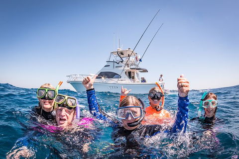 Life On Ningaloo Swimming Tour In Exmouth - Accommodation Burleigh 4