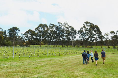 Organic Vineyard/Farm Tour - Accommodation Burleigh 7
