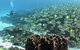 5 Night Ningaloo Reef Ningaloo Escape From Coral Bay - thumb 5