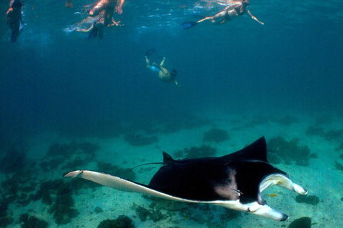 5 Night Ningaloo Reef Ningaloo Escape From Coral Bay - Accommodation Burleigh 1