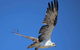 Romance Aircraft Flight + Scenic Tour + 3 Course Lunch + Beer Tasting + Hamper - thumb 4