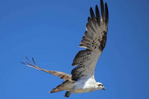 Romance Aircraft Flight + Scenic Tour + 3 Course Lunch + Beer Tasting + Hamper - Accommodation Burleigh 4