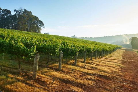 Botanical Gardens, Winery And Scenic Full Day Tour - Accommodation Burleigh 2