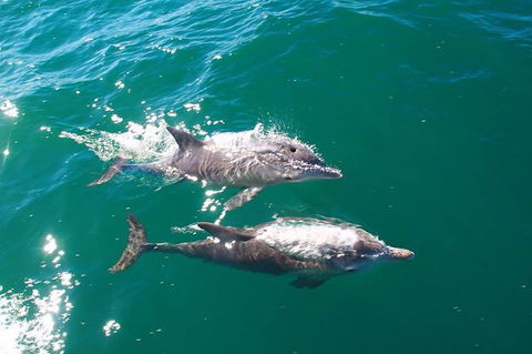 Sailing Kayak Adventure Through The Peel Harvey Estuary - Accommodation Burleigh 1