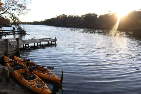Private Guided River Kayak Tour - Accommodation Burleigh 1