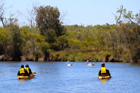 Private Guided River Kayak Tour - Accommodation Burleigh 4