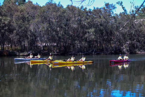 Private Guided River Kayak Tour - Accommodation Burleigh 5