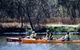 Private Guided River Kayak Tour - thumb 3