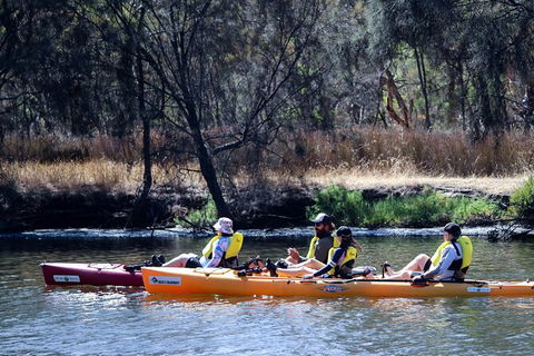 Private Guided River Kayak Tour - Accommodation Burleigh 3