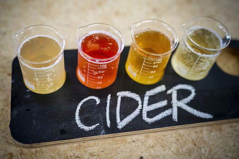 Bickley Valley Wine & Cider Tour - Premium Small Group Tour - Accommodation Burleigh 1