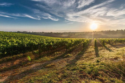 Perth To Margaret River Wine Tour - 2 Day Premium Boutique Wine Tour Experience - Accommodation Burleigh 0