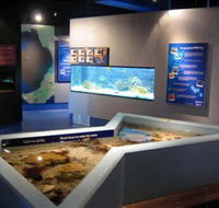 Marine and Freshwater Discovery Centre - Accommodation Burleigh
