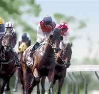 Colac Turf Club - Accommodation Burleigh