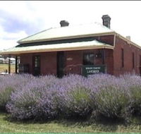 Lavender House in Railway Park - Accommodation Burleigh
