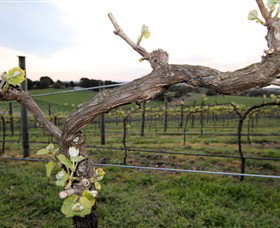 Nalbra Estate Wines - Accommodation Burleigh 0