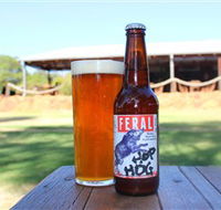 Feral Brewing Company - Accommodation Burleigh