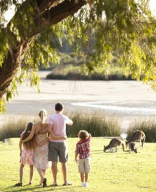 Yanchep National Park - Bushwalking Trails - Accommodation Burleigh 0