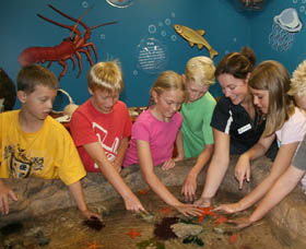 Naturaliste Marine Discovery Centre - Accommodation Burleigh 0
