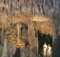 Mammoth Cave - Accommodation Burleigh