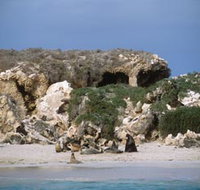 Jurien Bay Marine Park - Accommodation Burleigh