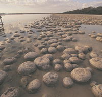Lake Clifton Thrombolites - Accommodation Burleigh