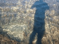 Jervis Bay Stand Up Paddle - Accommodation Burleigh 3