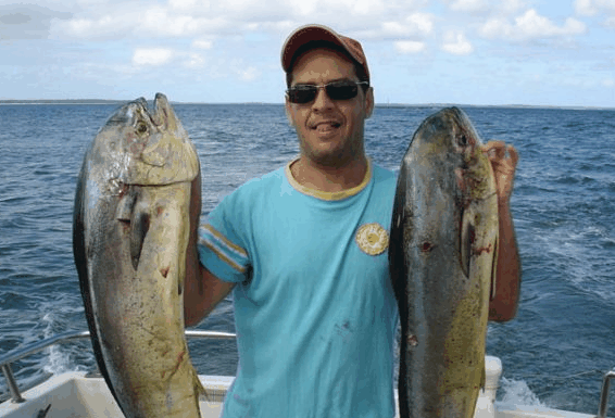 Jervis Bay Fishing and Charters - Accommodation Burleigh