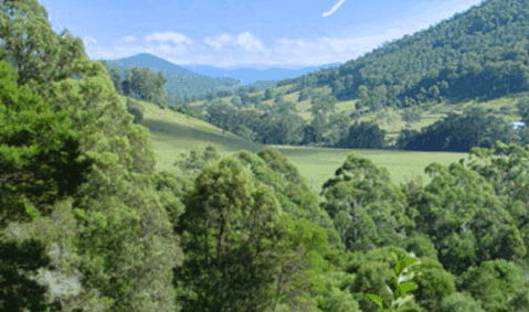 Blue Poles Gallery - Accommodation Burleigh 1