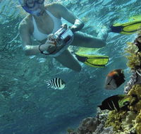 Calypso Reef Charters - Accommodation Burleigh