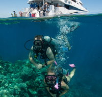 Down Under Cruise and Dive - Accommodation Burleigh