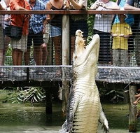 Hartley's Crocodile Adventures - Accommodation Burleigh