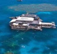 Quicksilver Cruises - Accommodation Burleigh