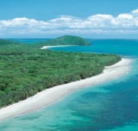 Reef and Rainforest Connections - Accommodation Burleigh