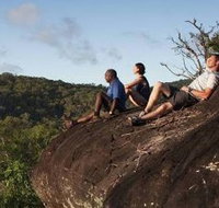 Cooktown Aboriginal Art Tours - Accommodation Burleigh