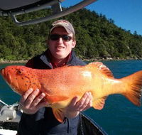 Gone Fishing by Coral Sea Fishing Charters Airlie Beach - Accommodation Burleigh