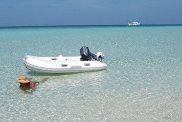 Adrenalin Snorkel And Dive - Accommodation Burleigh 4