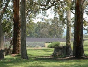 Broadwater QLD Accommodation Burleigh