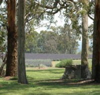 Aloomba Lavender - Accommodation Burleigh