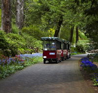 Araluen Botanic Park - Accommodation Burleigh
