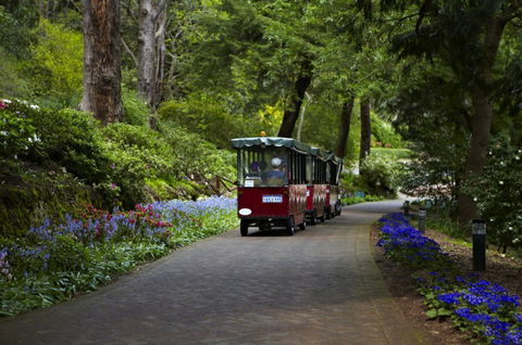 Araluen Botanic Park - Accommodation Burleigh 0