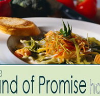 Land of Promise Hotel - Accommodation Burleigh