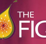 Wild Fig - Accommodation Burleigh